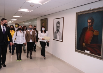 Acción inconstitucional contra la interpretación de la Propaganda Gubernamental: PRD