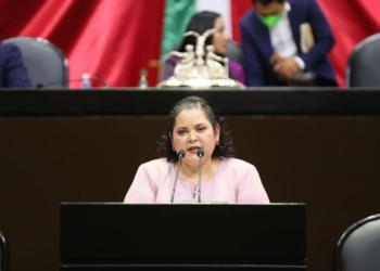 Lograr la paz en México y una participación política efectiva, las prioridades legislativas de Evangelina Moreno
