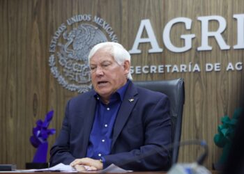 México, Noveno Productor Mundial de Miel: Víctor Villalobos