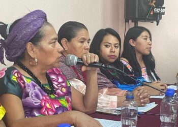 Indígenas Aspiran a Candidaturas en México; los Partidos no los ven con Capacidad: PNI