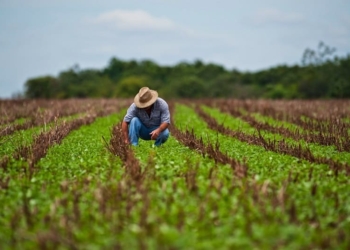 Participa México en la 38 Conferencia Regional de la FAO Para América Latina y el Caribe