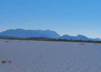 Sólo un Decreto Presidencial Como Zona de Restauración Ecológica, Puede Salvar al Lago de Cuitzeo
