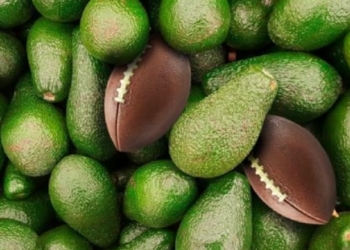 Bate Récord Ginness, Macro Exhibición de Aguacate Mexicano en Estados Unidos: Arnulfo R. Gómez