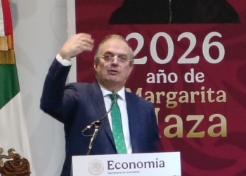 Reactiva Secretaría de Economía, Microcréditos Empresariales en México