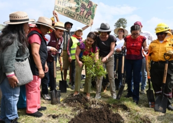 Participa Rosaura Ruiz en Jornada de Reforestación en Tláhuac, en Representación de la Presidenta CSP
