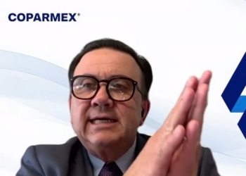 No Basta con la Renuncia de Guadalupe Taddei a la Presidencia del INE: Coparmex
